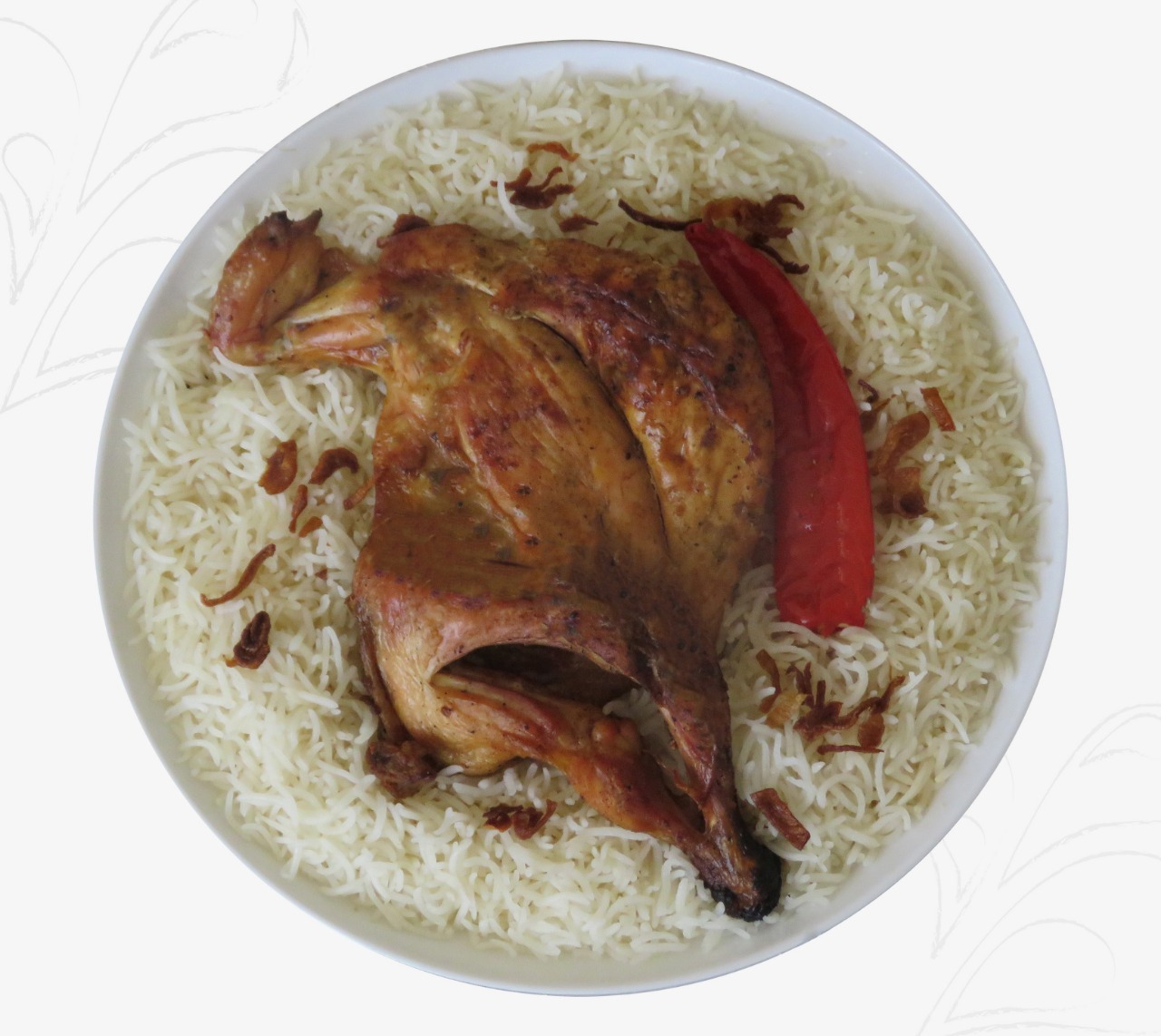 نص  دجاج مظبي
